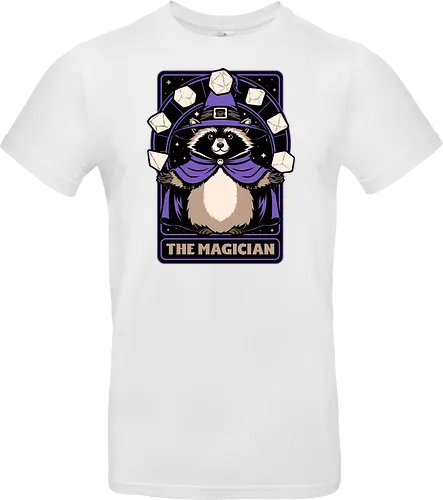 Raccoon RPG Wizard