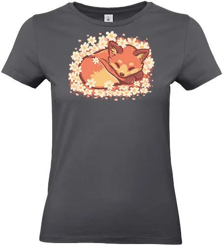 Daisy Spring Fox - Fuchs, Frühling, Gänseblümchen, Schlafender Fuchs, Fuchs und Blumen, Niedlicher Fuchs, Blumig, Verträumt, Ästhetisch, Warme Farben, Frühlingstier, Gänseblümchen Blume, Cottagecore Fuchs, Gelassen, Ruhig, fox, spring, daisy, Sleeping fox, Fox and flowers, Cute fox, Floral, dreamy, aesthetic, warm colours - Standard T-Shirt (Women)
