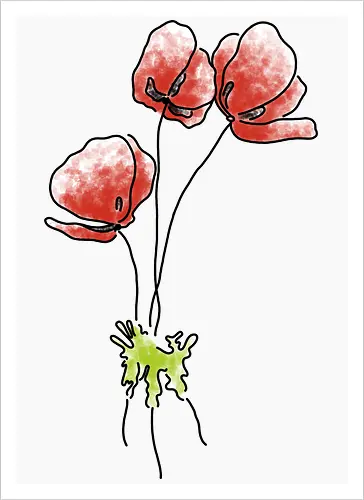 Anemone