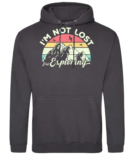 I'm not lost, I'm exploring. - mountain, exploring, adventure, retro, sunset, nature, birds, typography, colorful - Standard Hoodie