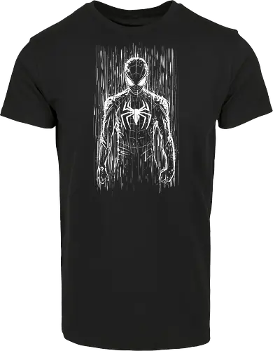 The spider under the rain