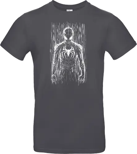 The spider under the rain