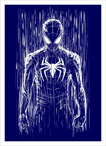 The spider under the rain
