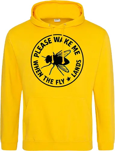 Please wake me when the fly lands