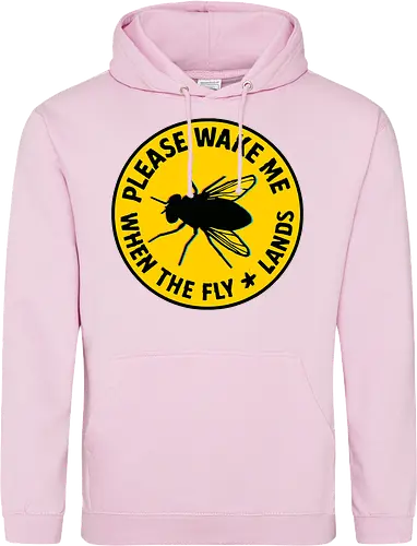 Please wake me when the fly lands