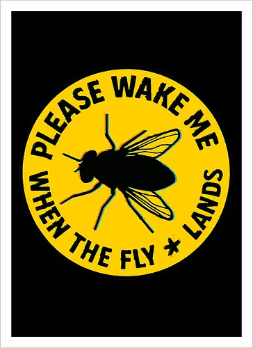 Please wake me when the fly lands