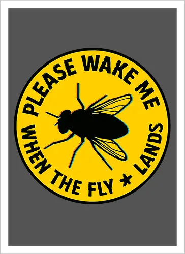 Please wake me when the fly lands