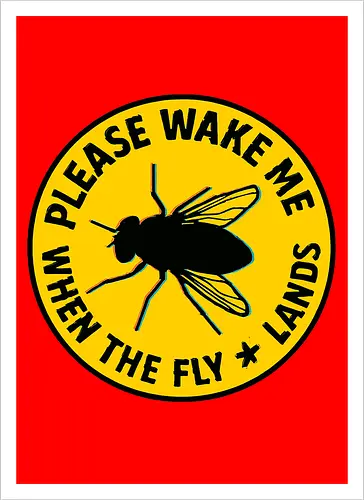 Please wake me when the fly lands