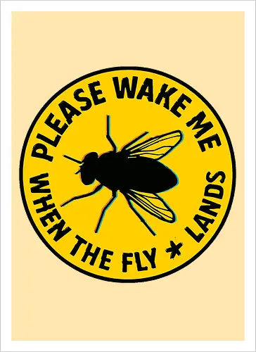 Please wake me when the fly lands