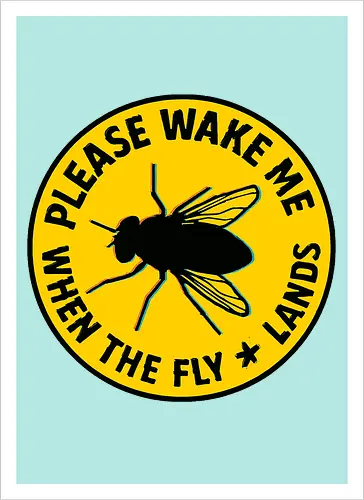 Please wake me when the fly lands