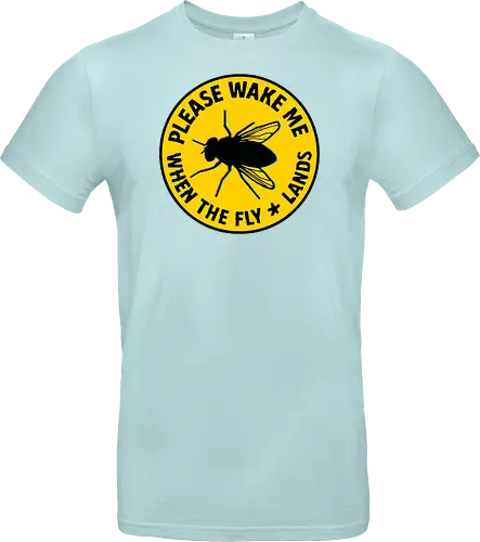 Please wake me when the fly lands