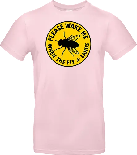 Please wake me when the fly lands