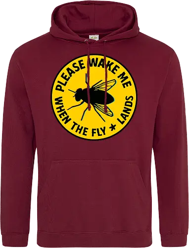 Please wake me when the fly lands