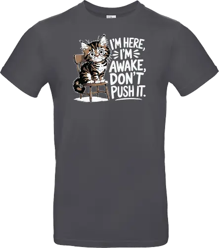 I'm here, I'm awake, don't push it