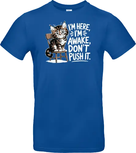 I'm here, I'm awake, don't push it