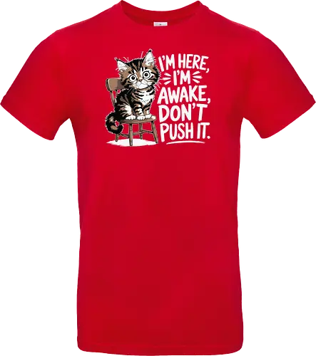 I'm here, I'm awake, don't push it