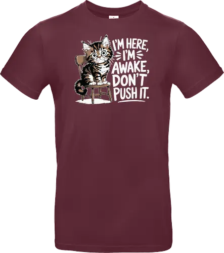 I'm here, I'm awake, don't push it