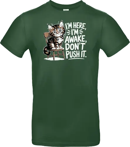 I'm here, I'm awake, don't push it