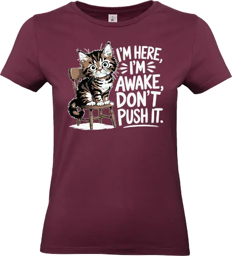 I'm here, I'm awake, don't push it