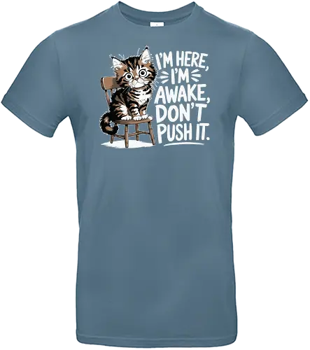 I'm here, I'm awake, don't push it - cat, chair, wide eyes, humor, quote, awake, playful, cute - Standard T-Shirt