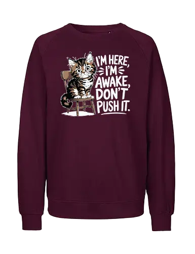 I'm here, I'm awake, don't push it - cat, chair, wide eyes, humor, quote, awake, playful, cute - Fairtrade Sweatshirt