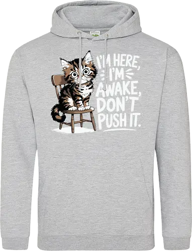 I'm here, I'm awake, don't push it