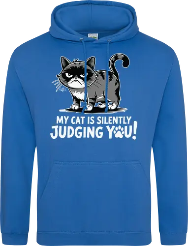 My cat is silently judging you