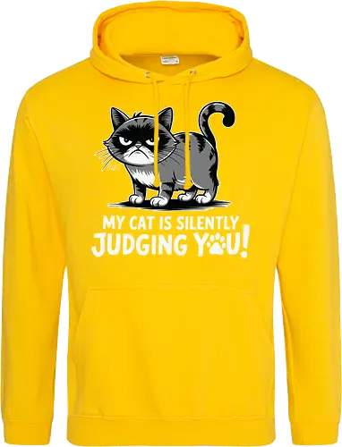 My cat is silently judging you