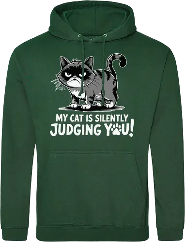 My cat is silently judging you