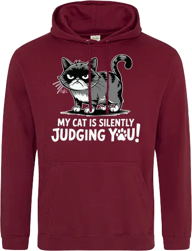 My cat is silently judging you
