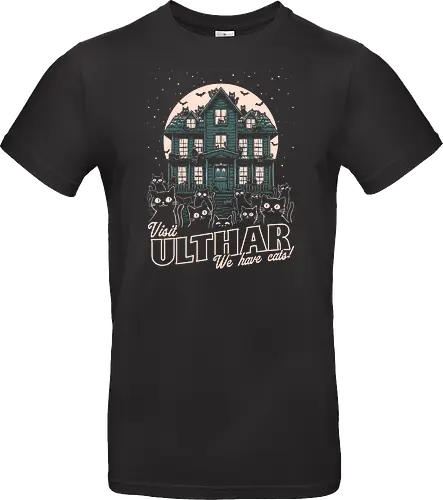 Cats Visit Ulthar