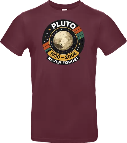 pluto never forget