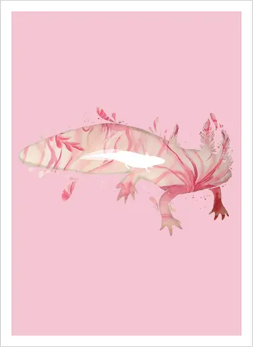 Axolotl Silhouette