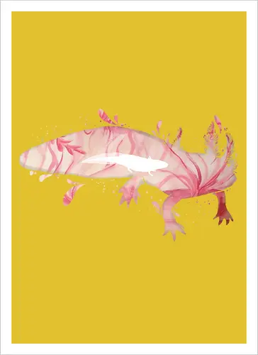 Axolotl Silhouette