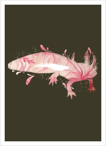 Axolotl Silhouette