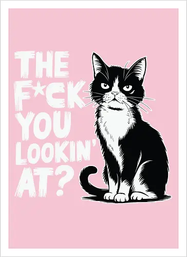 THE F*CK YOU LOOKIN' AT?