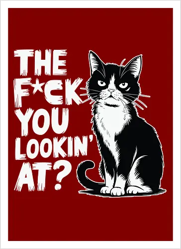 THE F*CK YOU LOOKIN' AT?