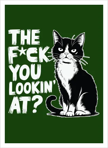 THE F*CK YOU LOOKIN' AT?