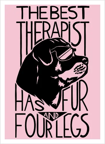 Dog Is The Best Therapist At Home