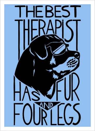 Dog Is The Best Therapist At Home