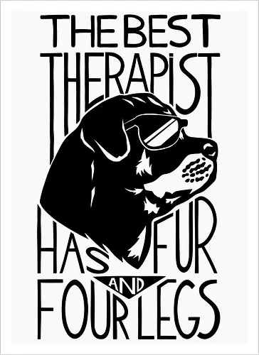 Dog Is The Best Therapist At Home