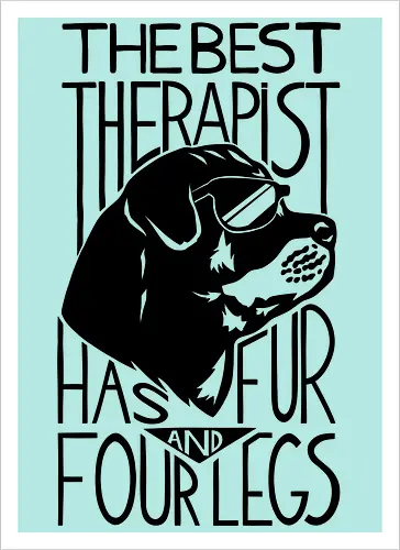 Dog Is The Best Therapist At Home