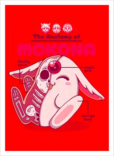THE ANATOMY OF MOKONA