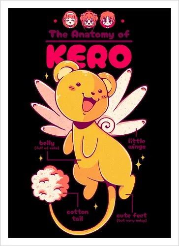 THE ANATOMY OF KERO