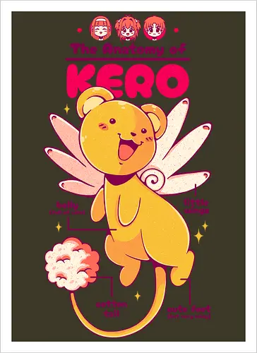 THE ANATOMY OF KERO