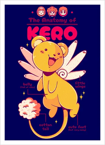 THE ANATOMY OF KERO