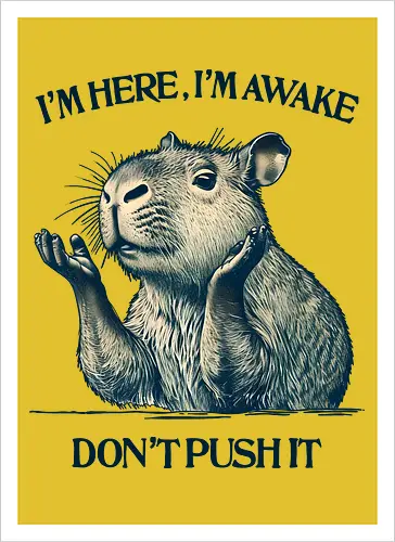 I’m Here I’m Awake