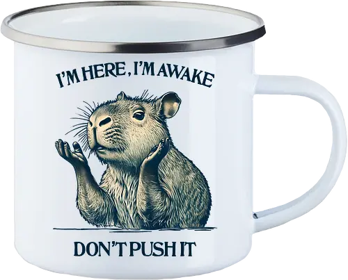 I’m Here I’m Awake