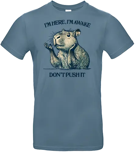 I’m Here I’m Awake - I’m here, I’m awake, don’t push it, capybara, lazy humor, introvert, sarcastic quote, chill vibes, morning mood, sleepy animal - Standard T-Shirt
