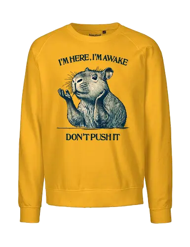 I’m Here I’m Awake - I’m here, I’m awake, don’t push it, capybara, lazy humor, introvert, sarcastic quote, chill vibes, morning mood, sleepy animal - Fairtrade Sweatshirt